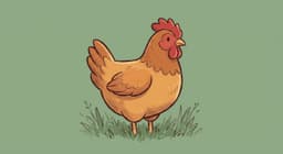 A domesticated fowl, with red comb and wattles, often raised on farms for its meat and eggs, standing in a grassy field.